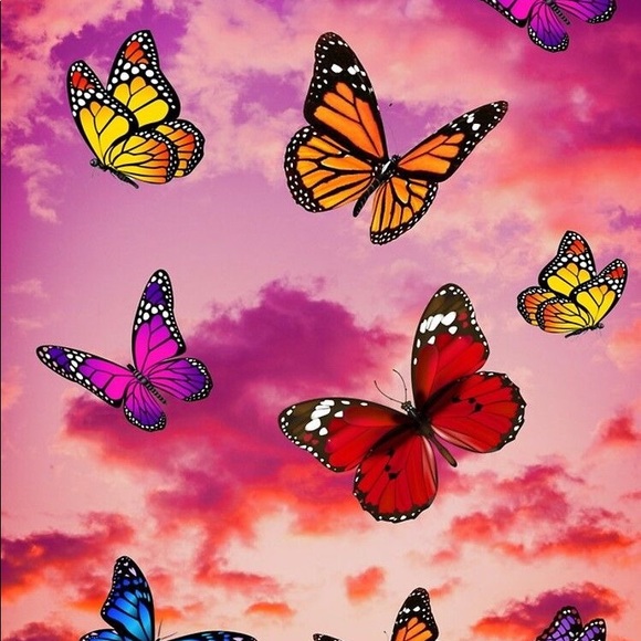 Meet your Posher, Giana - Picture 1 of 1